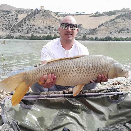 מקיננסה R U Ready Fishing, River Ebro מראה חיצוני תמונה