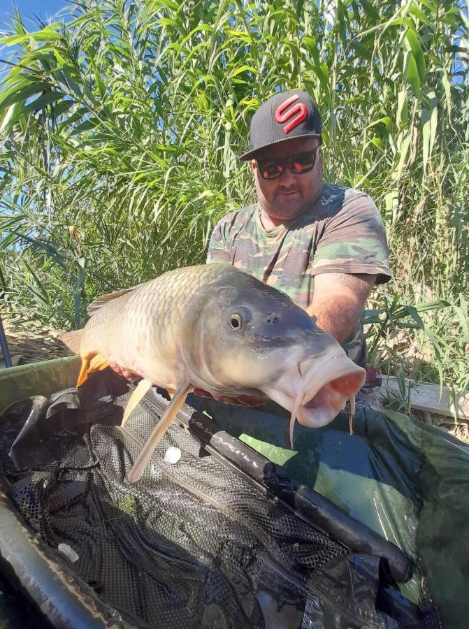 מקיננסה R U Ready Fishing, River Ebro מראה חיצוני תמונה