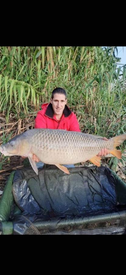 מקיננסה R U Ready Fishing, River Ebro מראה חיצוני תמונה