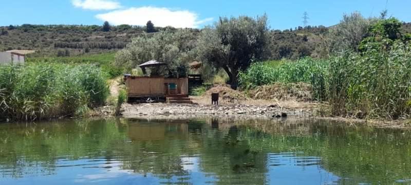 מקיננסה R U Ready Fishing, River Ebro מראה חיצוני תמונה