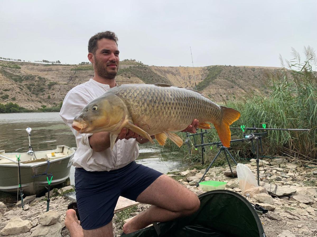 מקיננסה R U Ready Fishing, River Ebro מראה חיצוני תמונה